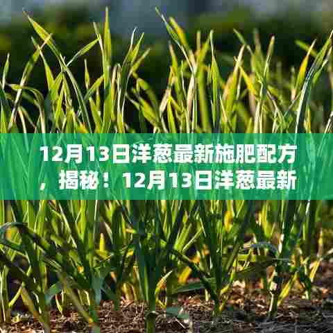 揭秘，最新洋葱施肥配方大公开！