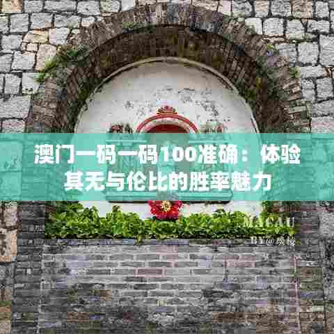 澳门一码一码100准确:体验其无与伦比的胜率魅力
