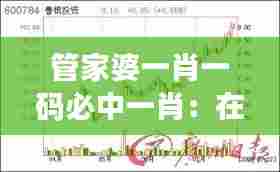管家婆一肖一码必中一肖:在不确定性中寻找确定性
