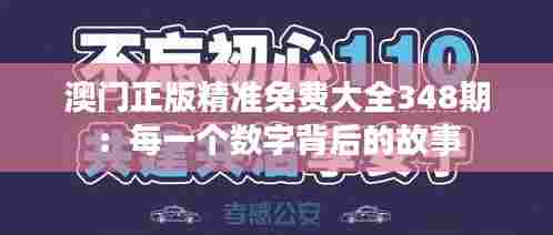 澳门正版精准免费大全348期:每一个数字背后的故事