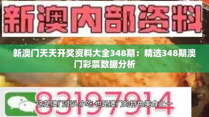 新澳门天天开奖资料大全348期:精选348期澳门彩票数据分析