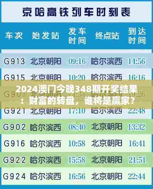 2024澳门今晚348期开奖结果：财富的转盘，谁将是赢家？
