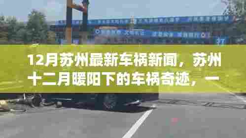 苏州车祸新闻揭秘,十二月暖阳下的奇迹与心灵之旅的反思