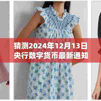 央行数字货币最新通知解读及未来趋势预测与应对策略探讨，关于2024年12月13日的猜测分析。
