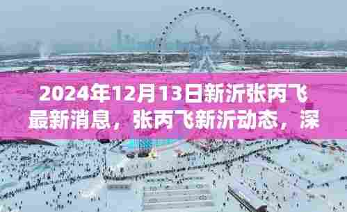2024年张丙飞新沂最新动态与深度解析,产品与用户群体分析