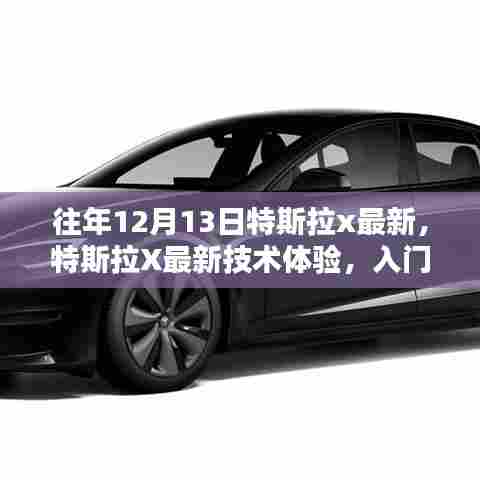 特斯拉X最新技术体验详解,入门指南与步骤(初学者与进阶用户必读)