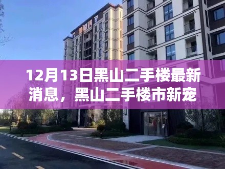 揭秘黑山二手楼市新宠儿，智能科技二手楼的最新动态与独特体验（最新消息）
