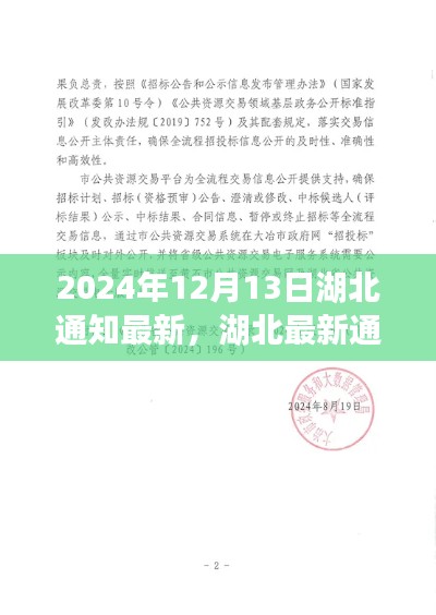 神采飞扬 第5页