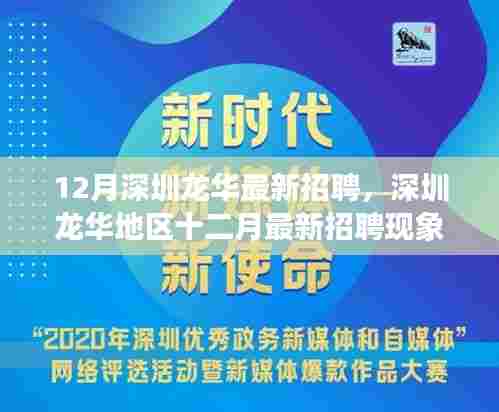 深圳龙华地区十二月最新招聘现象深度探析，多元观点下的观察与探析