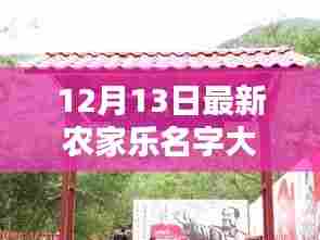 探秘隐世农家乐，最新名字大全与独特风情小店展示