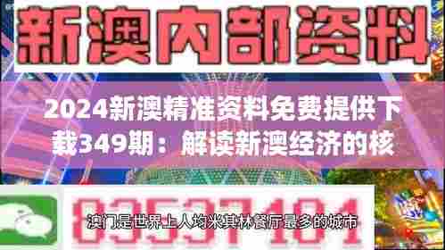 2024新澳精准资料免费提供下载349期:解读新澳经济的核心数据
