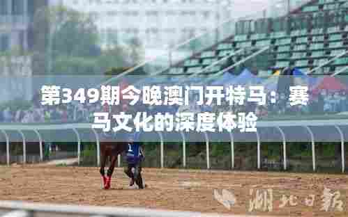 第349期今晚澳门开特马:赛马文化的深度体验
