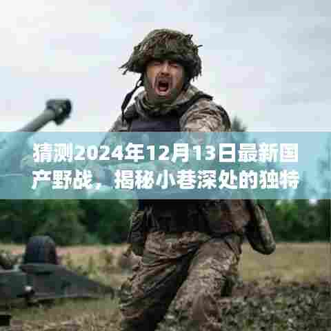 猜测2024年12月13日最新国产野战，揭秘小巷深处的独特风味，2024年最新国产野战特色小店探秘之旅