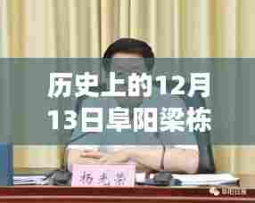 小红书揭秘,历史上的12月13日与阜阳梁栋的最新故事探索