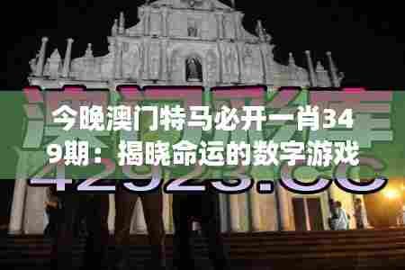 今晚澳门特马必开一肖349期：揭晓命运的数字游戏