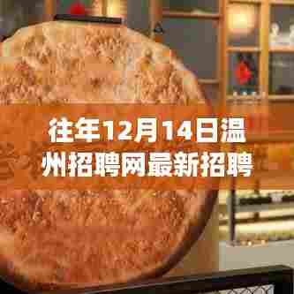 温州招聘网历年12月14日人才盛宴,深度解析最新招聘与机遇的碰撞时刻