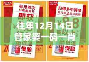 往年12月14日管家婆一码一肖100中奖：难忘的幸运日，难以复制的辉煌