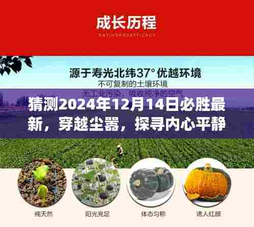 启程于未来,探寻内心平静的绿洲,穿越尘嚣的冒险之旅,2024年12月14日启程日猜想