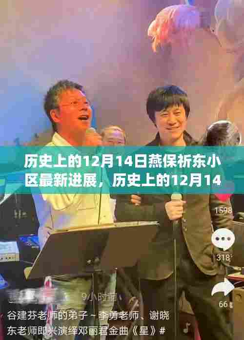 燕保祈东小区最新进展综述，历史上的12月14日回顾与最新动态