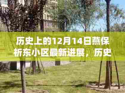 燕保祈东小区最新进展综述,历史上的12月14日回顾与最新动态
