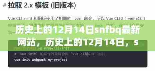 历史上的12月14日，SNFBQ最新网站全面评测与介绍