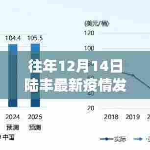 陆丰最新疫情发布深度解读与观点阐述，历年12月14日最新消息回顾