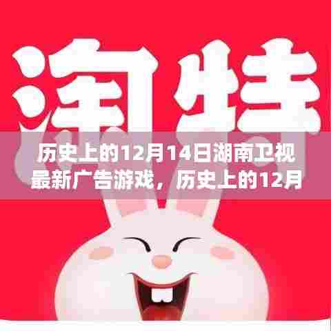 历史上的12月14日湖南卫视最新广告游戏,深度解析与观点阐述