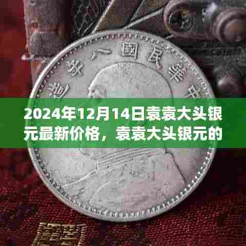 袁袁大头银元，新光芒闪耀2024年，自信成就未来与价值展望