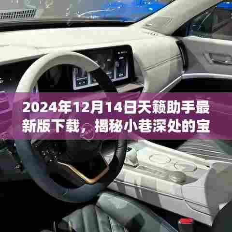 神秘宝藏之旅，特色小店与天籁助手最新版下载体验（2024年）