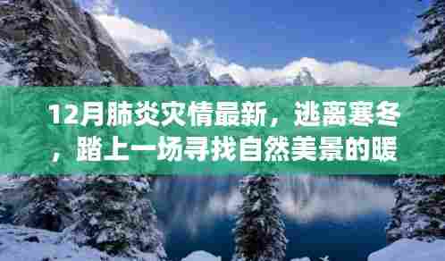 逃离寒冬,探寻自然美景的暖心之旅,远离肺炎阴霾,寻找内心的宁静之地