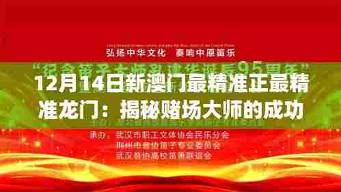 12月14日新澳门最精准正最精准龙门:揭秘赌场大师的成功秘诀