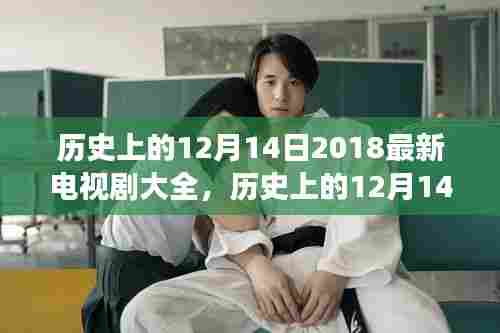 历史上的12月14日与电视剧发展,深度解析2018年电视剧大全