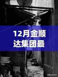 揭秘金顺达集团最新动态,特色小店与环境魅力背后的故事(十二月更新)