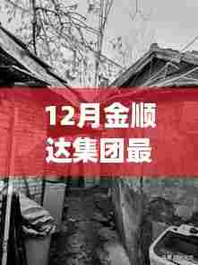 揭秘金顺达集团最新动态,特色小店与环境魅力背后的故事(十二月更新)