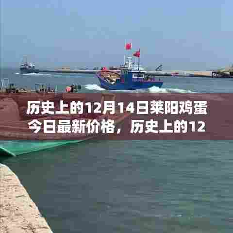 历史上的12月14日莱阳鸡蛋市场最新动态及价格走势分析今日发布报告