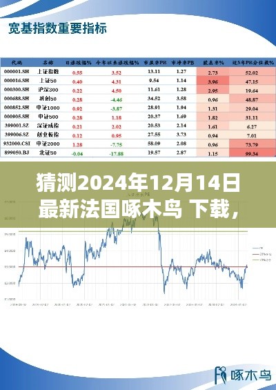 2024年法国啄木鸟软件下载与体验解析,最新评测报告