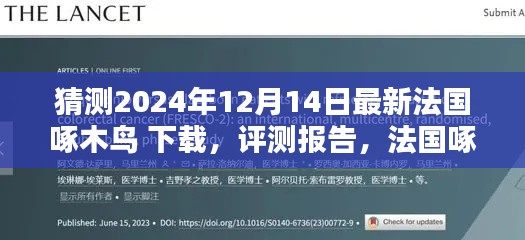 2024年法国啄木鸟软件下载与体验解析,最新评测报告