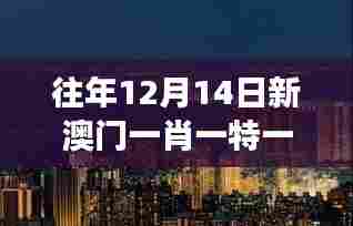 往年12月14日新澳门一肖一特一中:澳门旅游亮点的独特景色