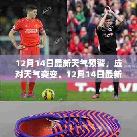 应对天气突变,12月14日最新天气预警指南与应对步骤