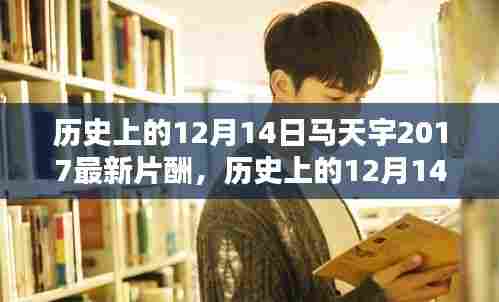 历史上的12月14日，聚焦马天宇2017最新片酬揭秘