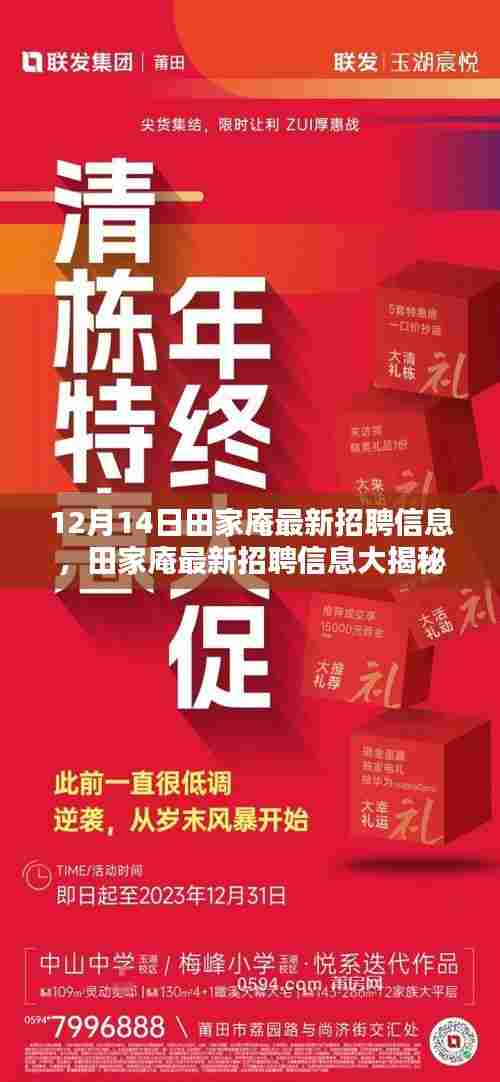 12月14日田家庵最新招聘信息精选，理想工作大揭秘