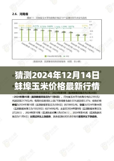 通宵达旦 第5页