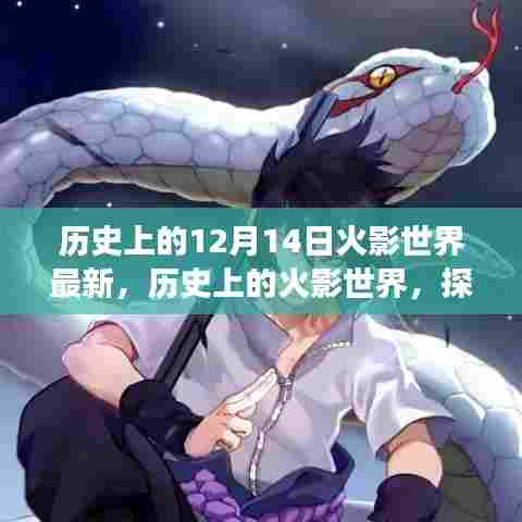 历史上的火影世界,探寻最新动态背后的故事与12月14日的火影世界最新资讯