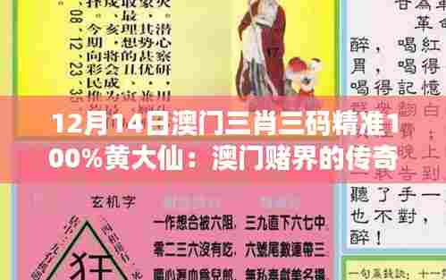 张张屈屈 第5页