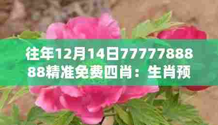 往年12月14日7777788888精准免费四肖：生肖预测的奇迹之源
