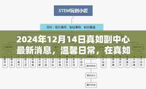 真如副中心最新动态,冬日奇遇与情感纽带,温馨日常在2024年12月14日展现