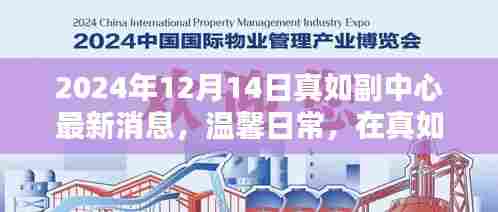 真如副中心最新动态,冬日奇遇与情感纽带,温馨日常在2024年12月14日展现