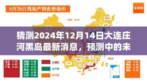 2024年大连庄河黑岛最新动态展望,未来预测与消息猜测
