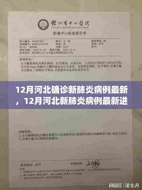 河北新肺炎病例最新进展与深度评测,12月更新