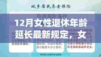 衣不重彩 第5页